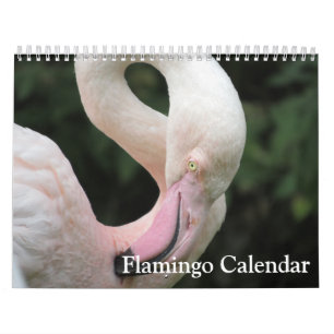 Flamingo 2026 calendar
