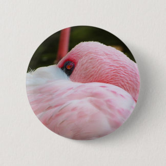 Flamingo  6 cm round badge