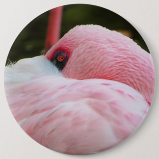Flamingo 6 cm round badge
