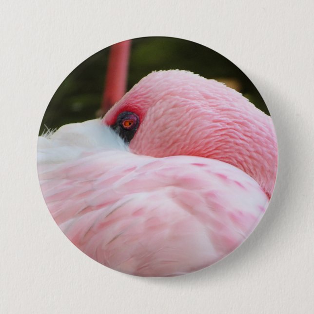 Flamingo  7.5 cm round badge (Front)