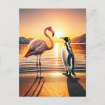 Flamingo and Penguin Sunset Encounter