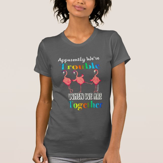 Flamingo Apparently we're trouble T-Shirt (Front)