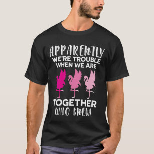 Flamingo Apparently We're Trouble When We together T-Shirt