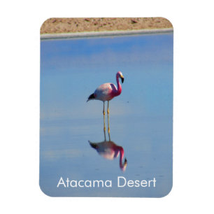 Flamingo Atacama Desert Flexible Magnet