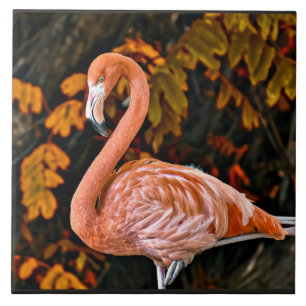 Flamingo, beautiful wading bird tile