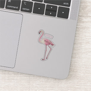 Flamingo bird cartoon illustration