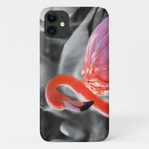 Flamingo Bird Photography iPhone 11 Case