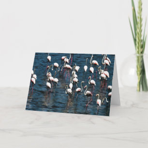 Flamingo Birds In Pink and White On Inkwell Blue Card