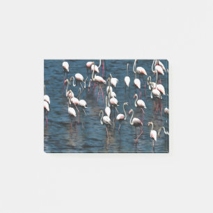 Flamingo Birds In Pink and White On Inkwell Blue Post-it Notes