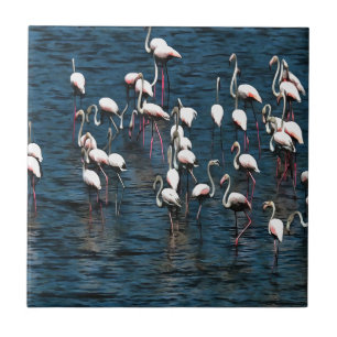 Flamingo Birds In Pink and White On Inkwell Blue Tile