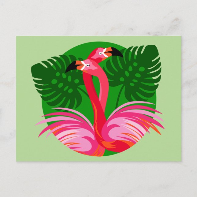 Flamingo Birds Postcard (Front)