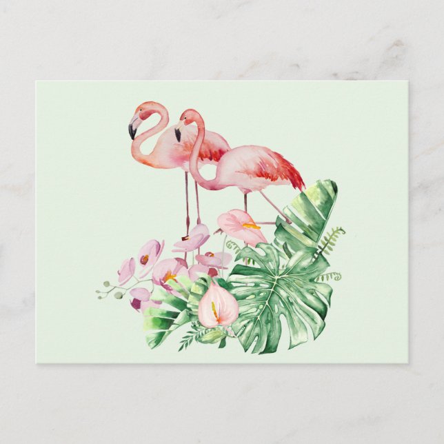 Flamingo Birds, Tropical Flowers and Leaves Postcard (Front)