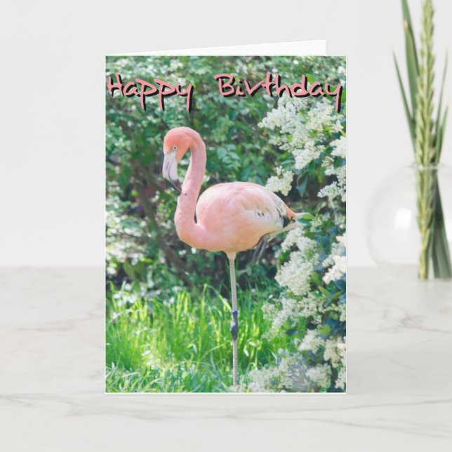 Flamingo Birthday Card (Front)
