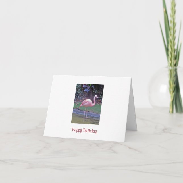 Flamingo Birthday Greetings Card (Front)