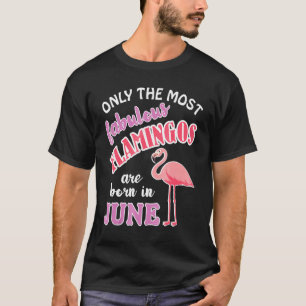 Flamingo Birthday Pink Flamingo Apparel T-Shirt