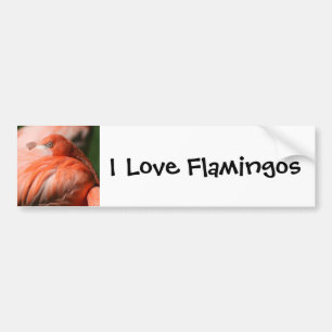 Flamingo Bumper Sticker