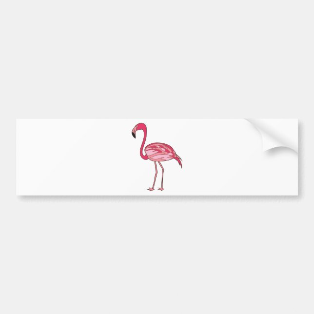 Flamingo Bumper Sticker (Front)