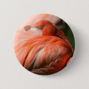 Flamingo Button