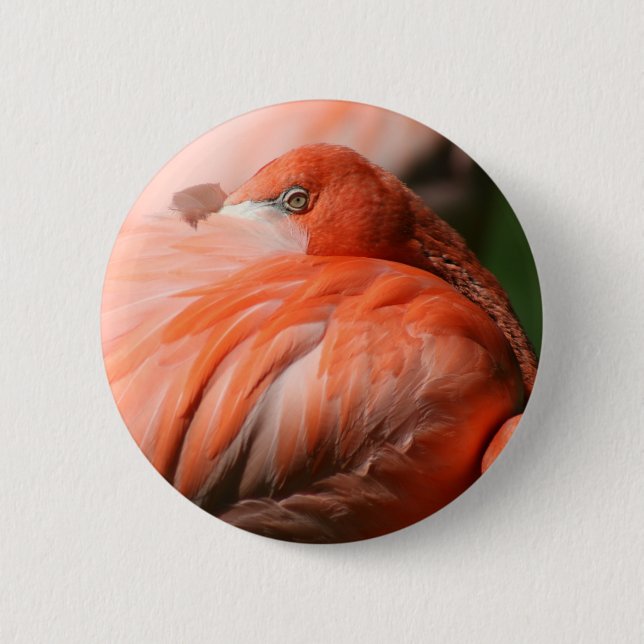 Flamingo Button (Front)