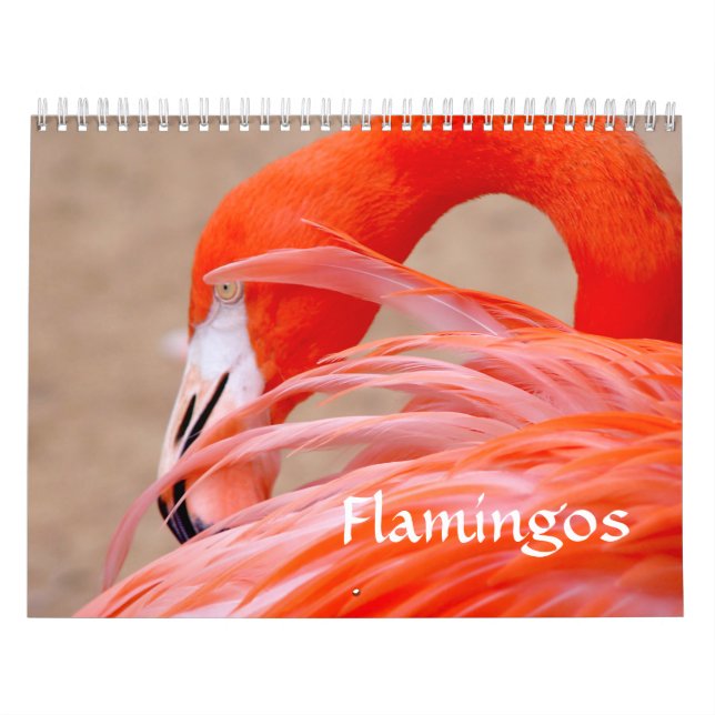 Flamingo Calendar (Cover)