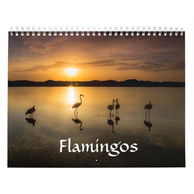 Flamingo Calendar (Cover)