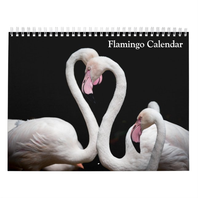 Flamingo Calendar 2026 (Cover)