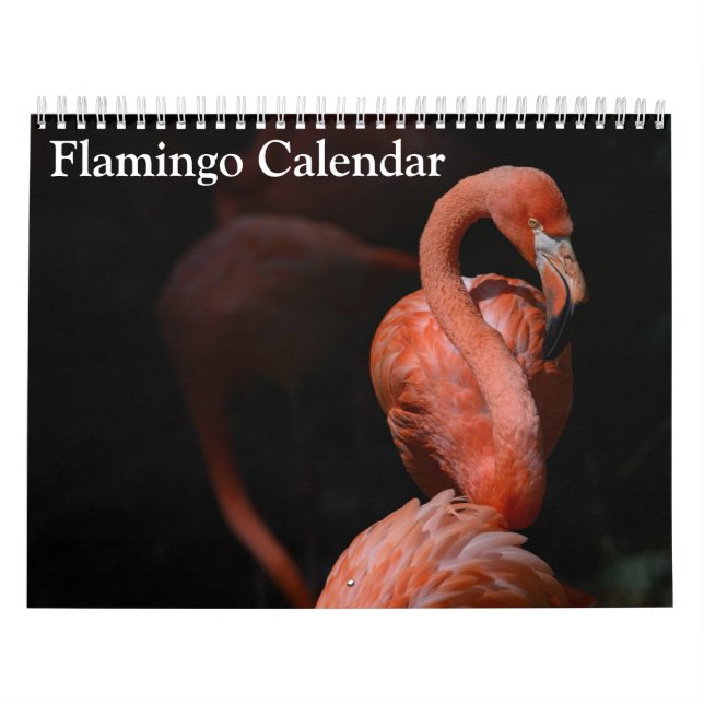 Flamingo Calendar 2026 (Cover)