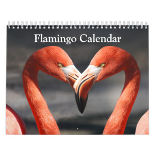 Flamingo Calendar 2026