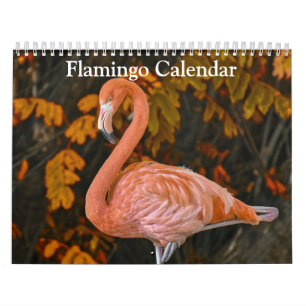 Flamingo Calendar 2027