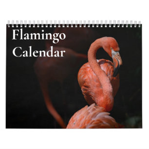 Flamingo Calendar 2027