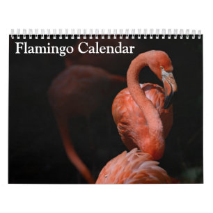 Flamingo Calendar 2027