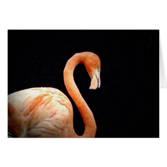 Flamingo Card