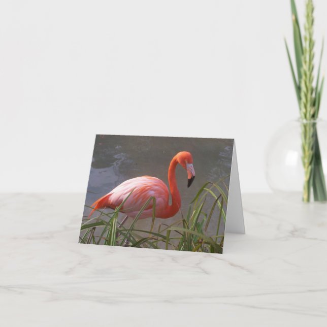 Flamingo Card (Front)