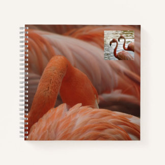 Flamingo Close Up Notebook