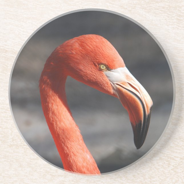 Flamingo Coaster (Front)