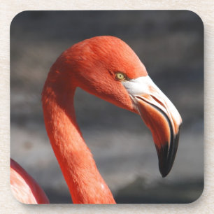 Flamingo Coaster