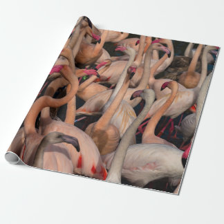 Flamingo crowd photo Wrapping paper
