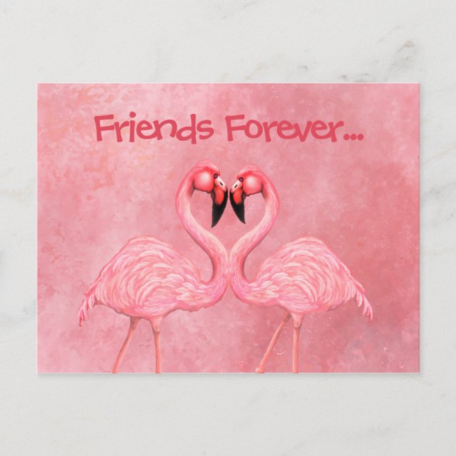 Flamingo Dance Postcard (Front)