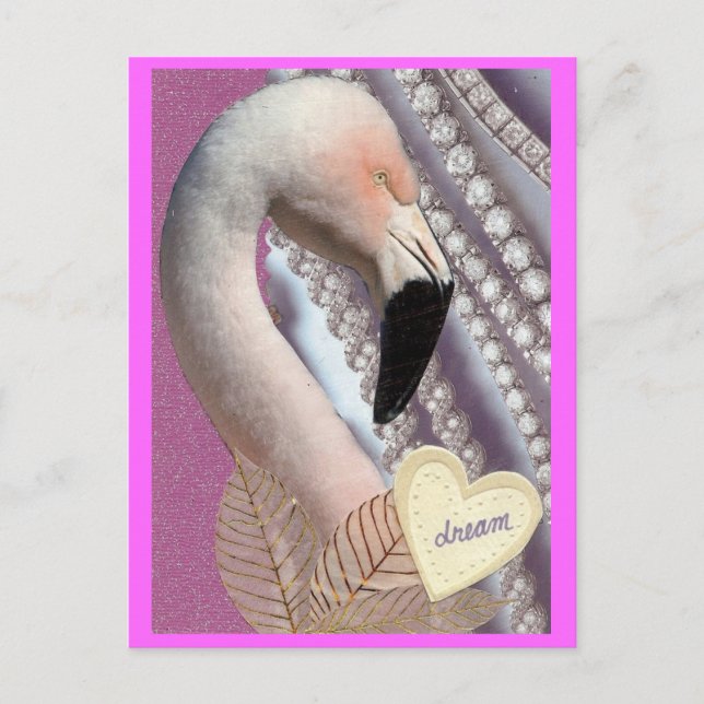 Flamingo Dream Postcard (Front)