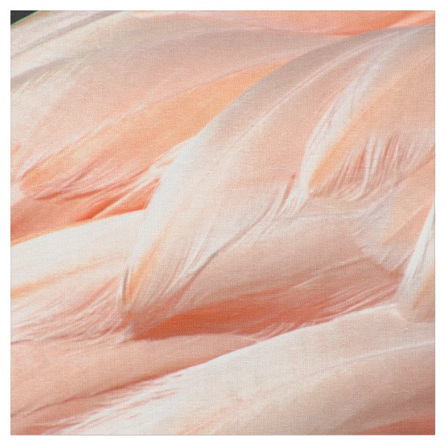 Flamingo Feathers - 5818 Fabric (Close Up)