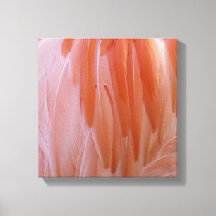 Flamingo Feathers in Shades of Pink Canvas Print