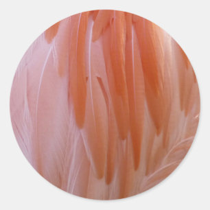 Flamingo Feathers in Shades of Pink Classic Round Sticker