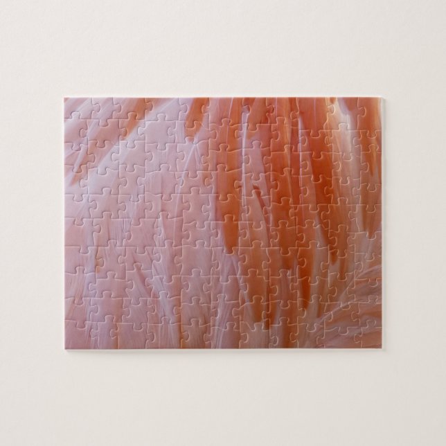 Flamingo Feathers in Shades of Pink Jigsaw Puzzle (Horizontal)