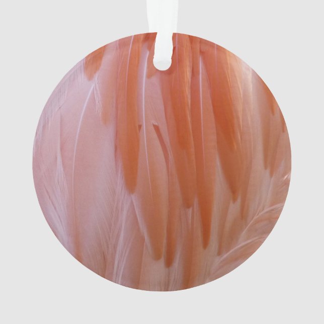Flamingo Feathers in Shades of Pink Ornament (Back)