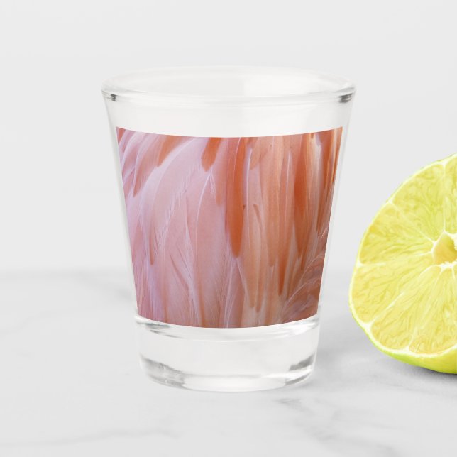 Flamingo Feathers in Shades of Pink Shot Glass (Front)