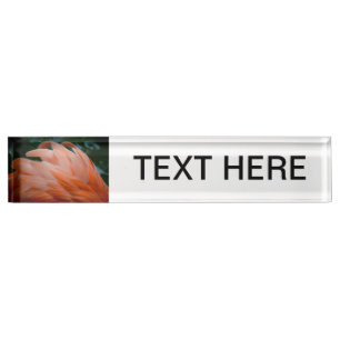 flamingo feathers ruffled closeup bird nameplate