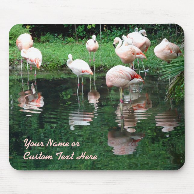 Flamingo Flamboyance Mouse Mat (Front)
