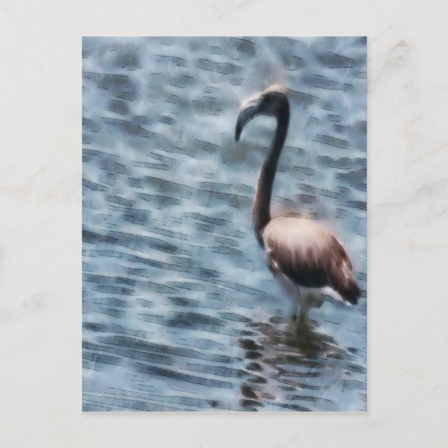 Flamingo Fledgling Watercolor Postcard (Front)