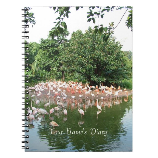 flamingo flock diary notebook (Front)