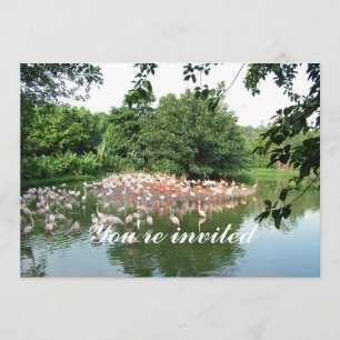 flamingo flock invitation